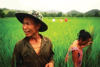 Agricultores no Laos, membros da Cooperação Sul-Sul