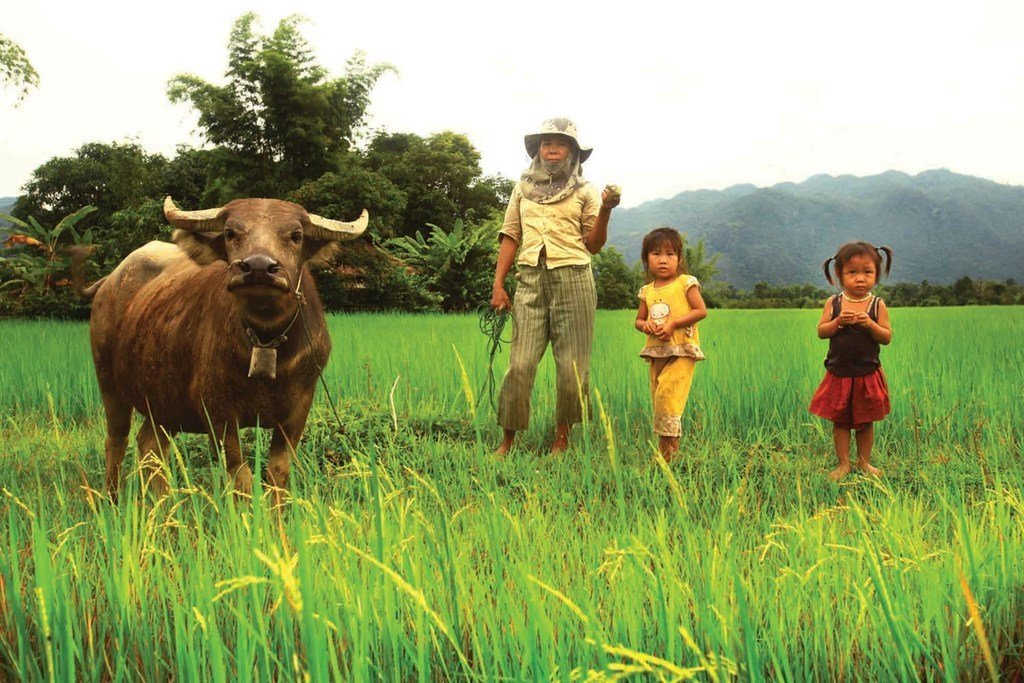 参与南南合作项目的老挝农民。