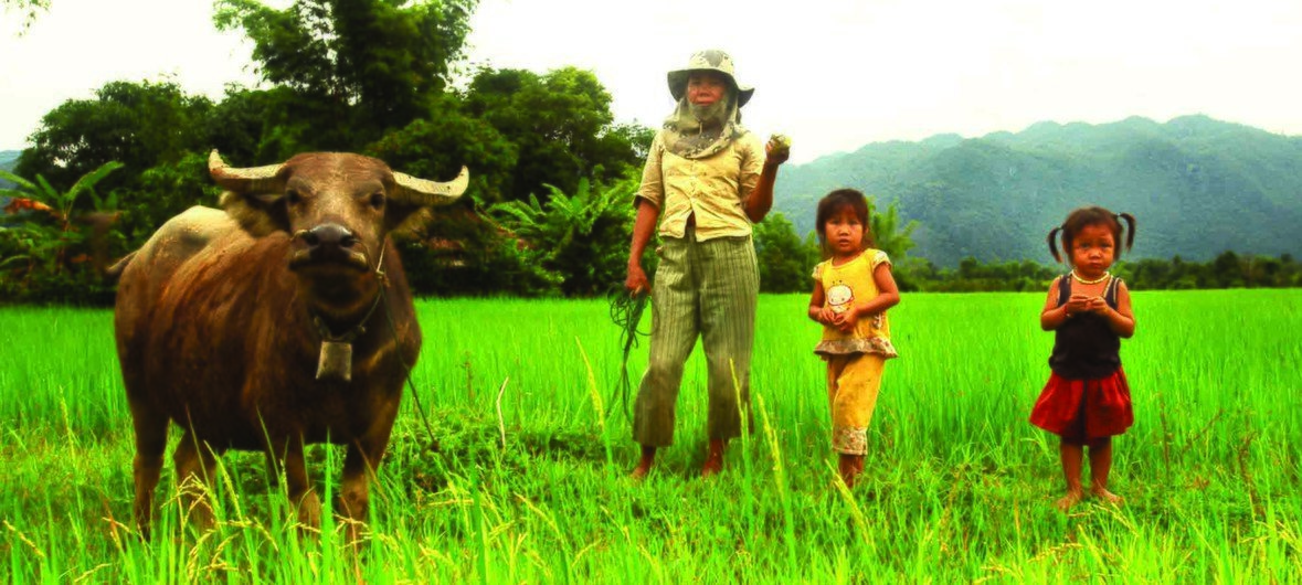 مزارعون في لاوس، عضوة مجموعة التعاون بين بلدان الجنوب.