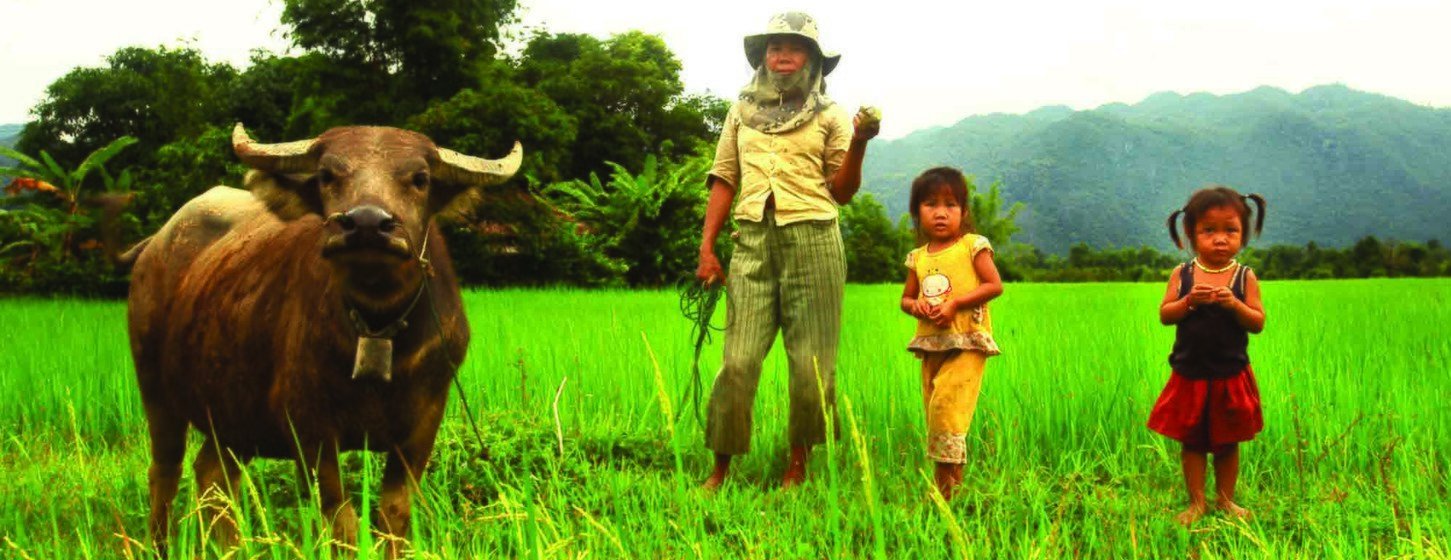 Agricultores de Laos, participan en un programa de cooperación sur sur.