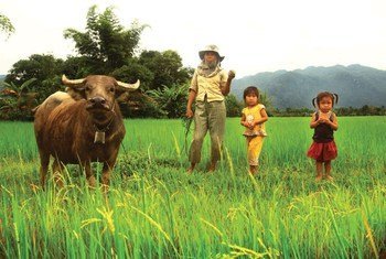 مزارعون في لاوس، عضوة مجموعة التعاون بين بلدان الجنوب.