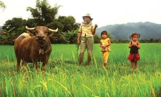 Agricultores no Laos, beneficários deste tipo de cooperação