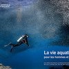 Journée mondiale de la vie sauvage : « La vie aquatique : pour les hommes et la planète »