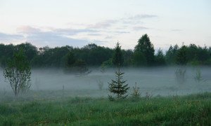 Kumzero in July. Location: Kumzero, Vologda region, Russia.