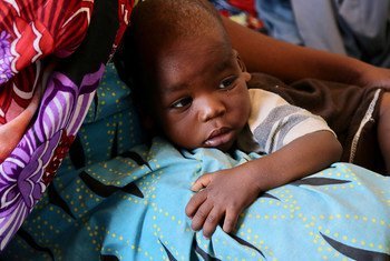 乍得的人道主义危机依然严峻，有430万人需要人道主义援助。