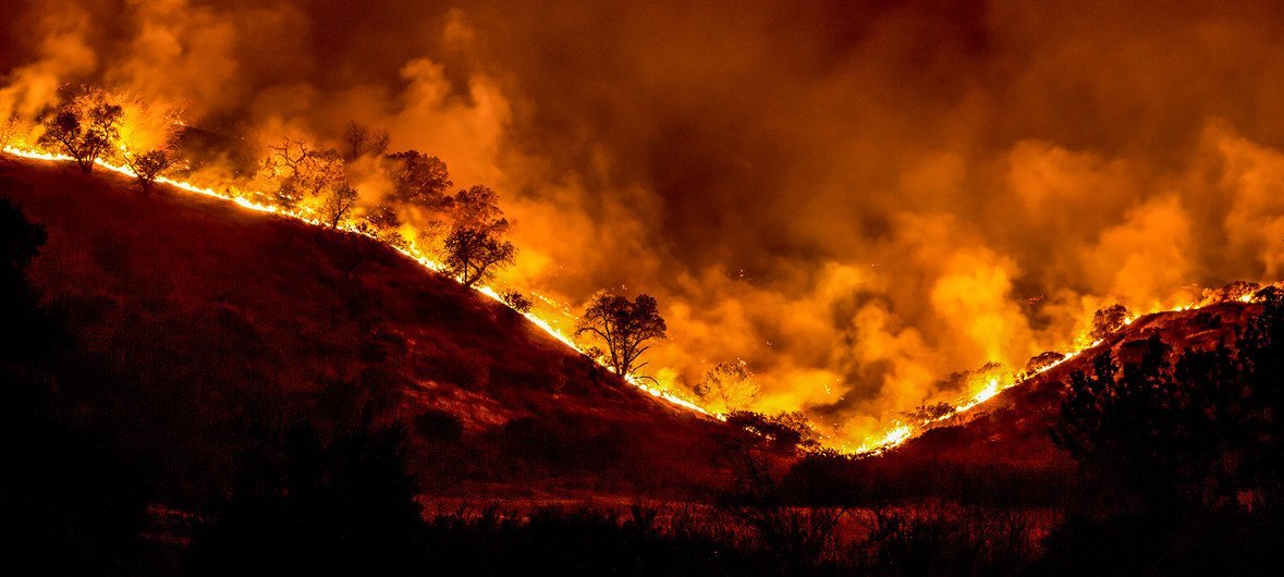 2018 Woolsey Fire burns a hillside in California.