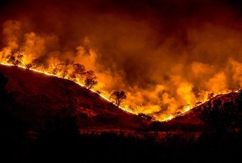 Un incendio arrasa los bosques de California.