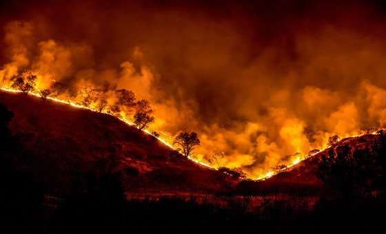 Incêndios florestais ocorrem nos hemisférios Norte e Sul.
