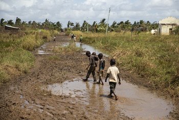 Children are seen walking on a muddy street in Buzi. The flood water from Cyclone Idai is still visible in Buzi, Mozambique.