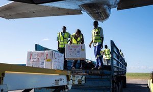 Des vaccins contre le choléra arrive à l'aéroport de Beira, au Mozambique le 2 avril 2019 (archive)