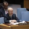 Director General of the International Atomic Energy Agency, Yukiya Amano, speaking at the UN Security Council.