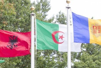 阿尔及利亚国旗（中）在联合国纽约总部飘扬。 