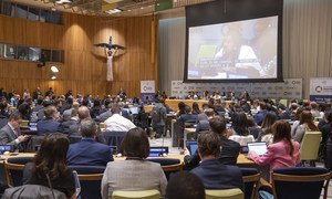 联合国经济及社会理事会第八届青年论坛今天在联合国总部拉开帷幕。