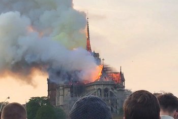 كاتدرائية نوتر دام في باريس والنيران مشتعلة فيها.