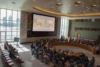 Le Conseil de sécurité des Nations Unies discute de la situation au Yémen.