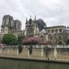 Собор Парижской Богоматери после пожара, уничтожившего значительную часть этого уникального памятника архитектуры. В ЮНЕСКО готовы помочь Франции восстановить собор.