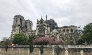 Notre-Dame cathedral after the fire in Paris. Sections of the cathedral were under scaffolding as part of extensive renovations. (16 April 2019)