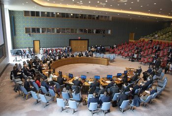 Réunion du Conseil de sécurité sur le Soudan le 17 avril 2019.