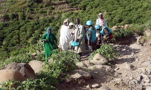 UNAMID and Humanitarian Country Team providing assistance to mudslide victims in East Jebel Marra, South Darfur. (September 2018)