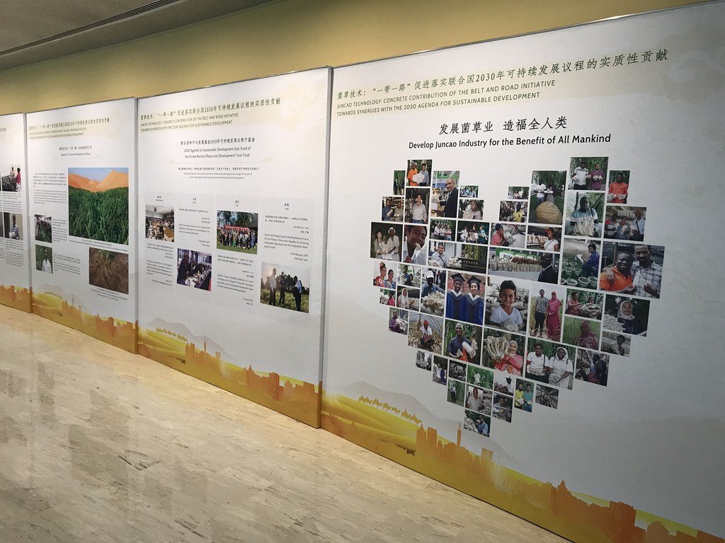 中国常驻联合国代表团在纽约联合国总部举办与“一带一路”倡议有关的菌草种植惠及沿线国家人民的展览。