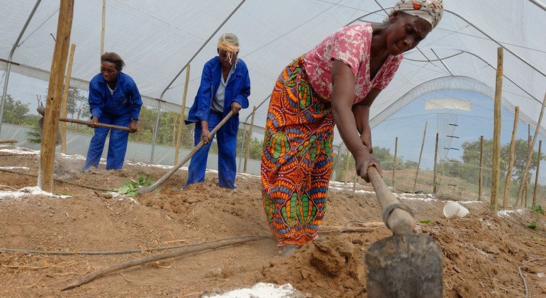 20 milyon yeşil iş yaratmak için ‘Adil Geçiş’ politikaları gerekiyor: BM raporu  

 Nguncel.com