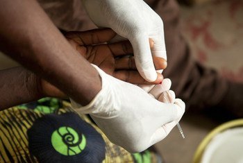 Pelo menos 11 dos 24 países que anunciaram ter interrompido a transmissão foram certificados como isentos de malária