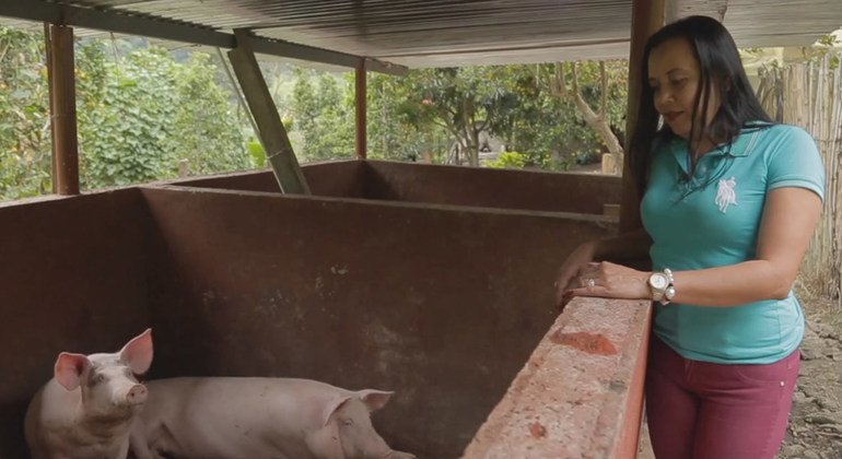 Sandra Mendoza cultiva café y cría cerdos. Ha sido la primera mujer presidenta del comité local de cafeteros de San Antonio, Tolima, en Colombia 