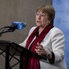 Michelle Bachelet explicou que os fundos serão aplicados em atividades que apoiam a visão do secretário-geral 
