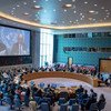 安理会就乌克兰问题召开会议。（2019年4月25日）