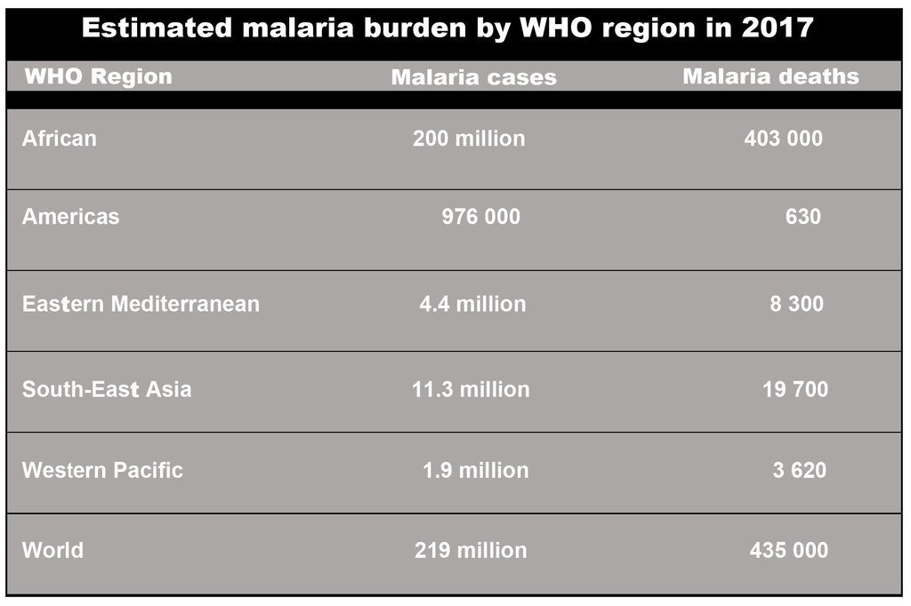 WHO's 2017 estimated malaria burden by region, taken from the World Malaria Report 2018