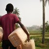 Jovem nas bolanhas de Bissau