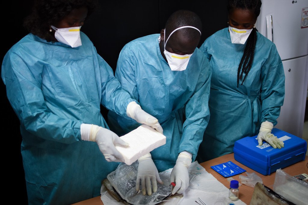 Des experts examinent un chargement de cocaïne en Guinée-Bissau