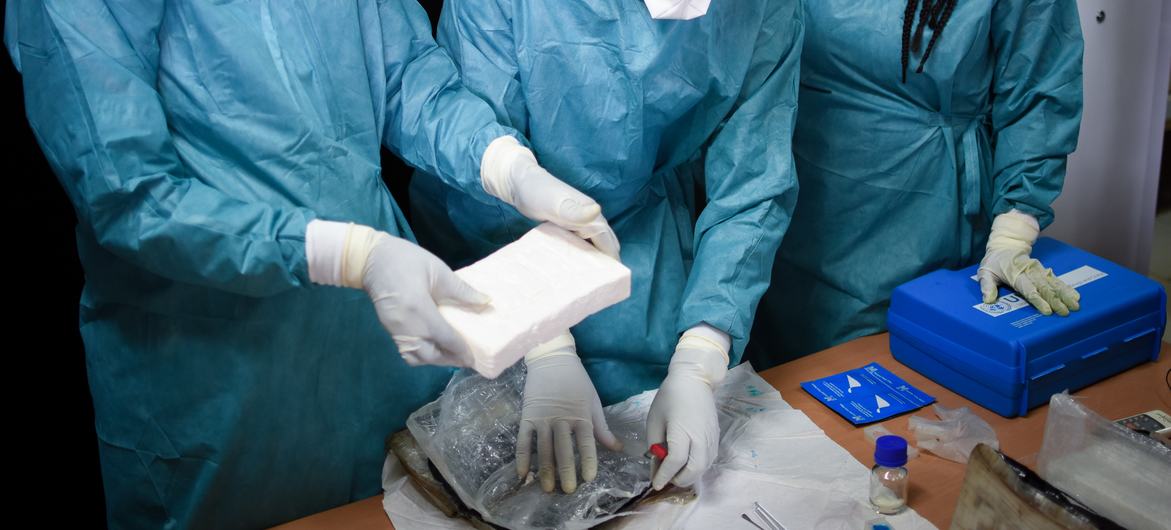 Experts examine a shipment of cocaine seized in Guinea-Bissau. Experts examine a shipment of cocaine seized in Guinea-Bissau.