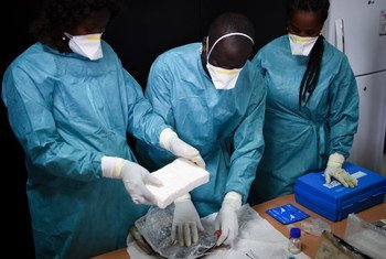 Expertos examinan un cargamento de cocaína en Guinea-Bissau.