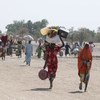 尼日利亚东北部为躲避暴力而流离失所的平民。