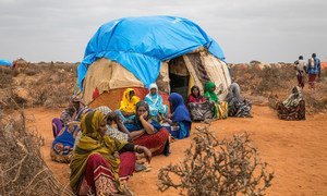 Pastoralists moved to temporary sites close to permanent water point, as drought affected Ethiopia Somali region.