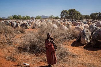 Idosa pede comida em assentamento para pessoas deslocadas em Dinsor, na Somália