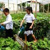 Local school children water the vegetable garden at the Ban Bor Primary School in Xay District, Lao People's Democratic Republic. 14 May 2019.