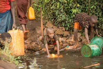 Crianças recolhem água de superfícia não tratada para consumo