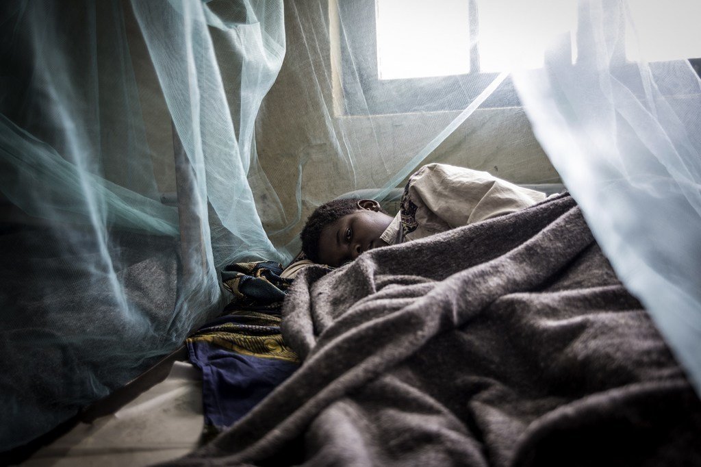 Un enfant dort protégé par une moustiquaire.