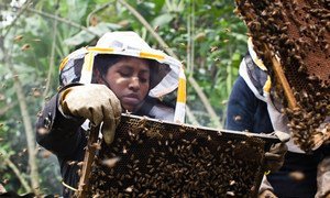 Through training and experience, Manuela overcame her fears of the bees.