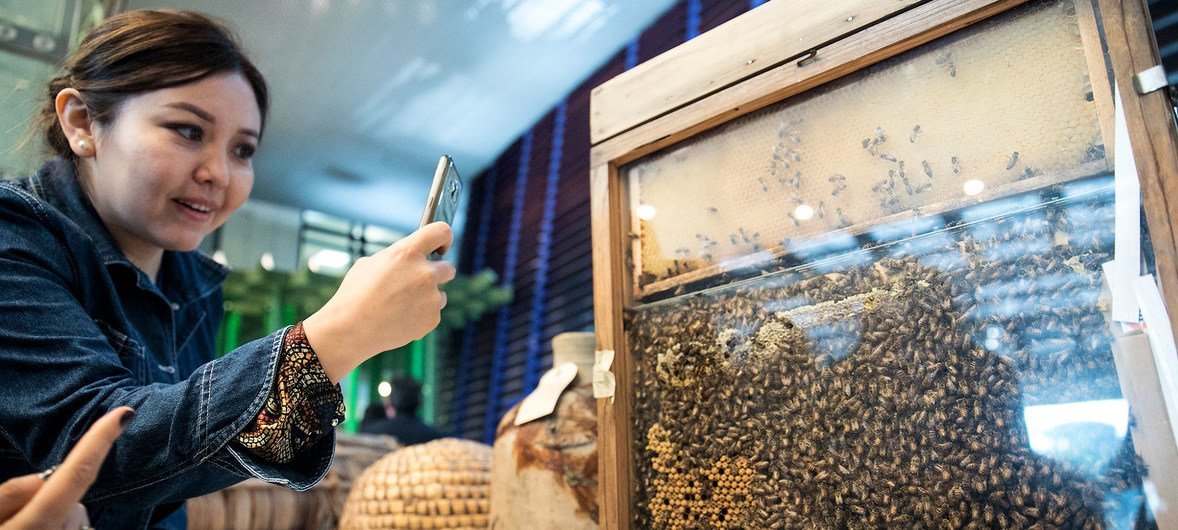 Uma participante do Dia Mundial das Abelhas, realizado na sede da FAO em Roma para aumentar a conscientização sobre o papel das abelhas e polinizadores na alimentação e na agricultura. (20 de maio de 2019)
