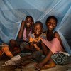 世卫组织表示，使用经长效杀虫剂处理过的药浸蚊帐是预防疟疾的有效手段。