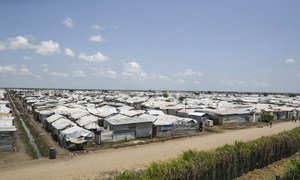 Em 2019, cerca de 200.000 pessoas estão protegidas pelas Nações Unidas em áreas no Sudão do Sul.