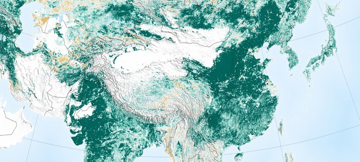 美国航空航天局今年二月发布的卫星数据研究结果显示，中国的植树造林工程，为全球绿化面积的增加做出了突出的贡献。