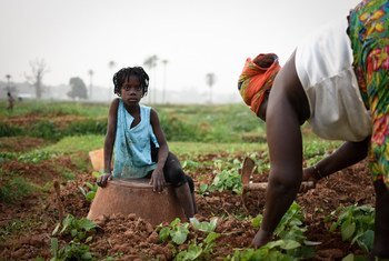 Paulita Cabral utilise certaines zones humides en Guinée-Bissau pour cultiver des légumes 