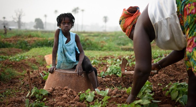Paulita Cabral utilise certaines zones humides en Guinée-Bissau pour cultiver des légumes 