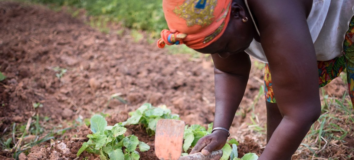 Paulita Cabral diz que estes terrenos são importantes para a sobrevivência da sua família