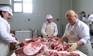 Serbs and Albanian women working together in a butchery in Kosovo.