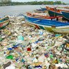 印度孟买的海滩开展的清理工作表明，海洋中的塑料垃圾每年如何导致数百万海鸟死亡。